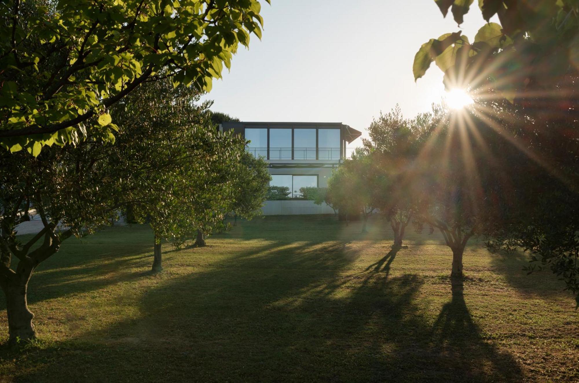 Villa Albina & Domenica Zadar Zimmer foto
